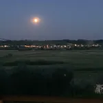 شقة Locazione Turistica Casa Olivo فيوتشيتشيو