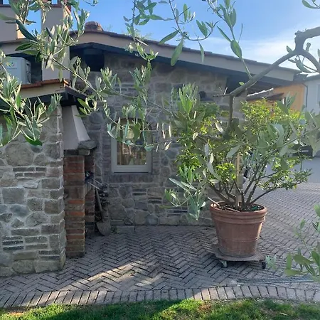 Locazione Turistica Casa Olivo Apartment *