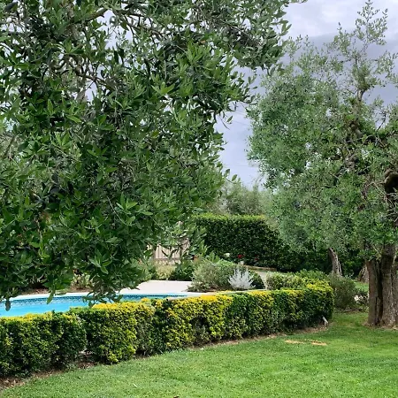 Locazione Turistica Casa Olivo Apartment