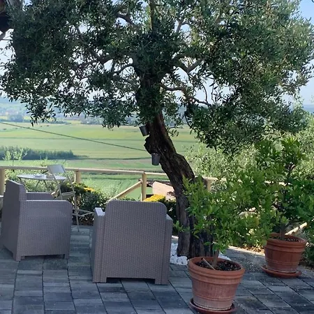 Locazione Turistica Casa Olivo Apartment Fucecchio