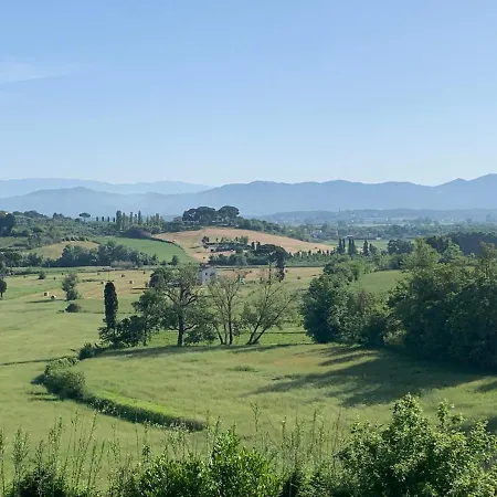 Locazione Turistica Casa Olivo Fucecchio