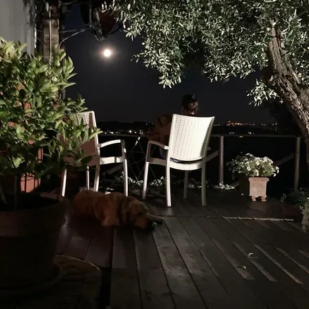 Locazione Turistica Casa Olivo